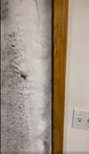 snowdoor2.jpg snowdoor2.jpg