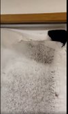 snowdoor3.jpg snowdoor3.jpg