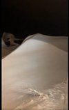 snowdoor4.jpg snowdoor4.jpg