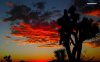 orange-sunset-clouds-7050-1280x800.jpeg