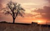 summer-sunset-on-the-field-6567-1280x800.jpeg
