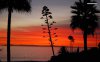 sunset-on-the-island-7117-1280x800.jpeg