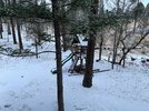 31E84BAB-B0CD-4259-89F4-0551A4939001.jpeg