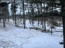 D974469F-99BC-4695-962D-1A03660DF3F6.jpeg