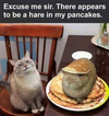 1643121178893.png