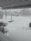 IMG_20220129_095913.jpg