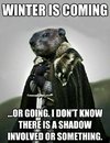 0aa98c15309c86996eaa60200a5bf2e5--groundhog-day-winter-is-coming.jpg