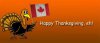 canadian-thanksgiving-turkey1.jpg