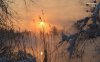 sunset-over-the-winter-forest-6654-1280x800.jpeg