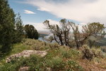 IMG_1525.JPG