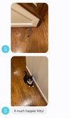 Screenshot_20220921-203808_Messages.jpg