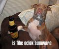 074A1779-00E6-486E-8652-CF84D45F0D22.jpeg
