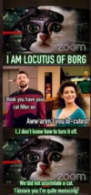 1669375275203.png