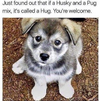 1669375514264.png
