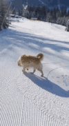daily_gifdump_4213_09.gif