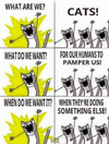 1669439794106.png