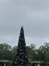DCA3658C-E8F5-47D9-AB6E-1DFE4C10A7FD.jpeg