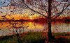 sunset-on-the-river-6993-1280x800.jpeg