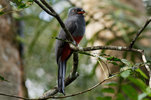 DSC_5094_DxO.jpg