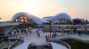 tron-lightcycle-power-run-shanghai-disney-exterior-1.jpg