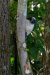 DSC_5362_DxO.jpg