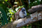 DSC_5367_DxO.jpg