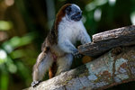 DSC_5372_DxO.jpg