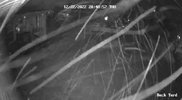 Back Yard_live_1671763735850.jpg