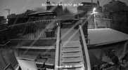 Upper Deck_live_1671765356405.jpg