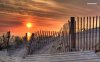 bent-fence-on-a-beach-at-sunset-6982-1280x800.jpeg