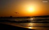 seaside-sunset-1127-1280x800.jpeg