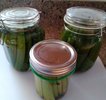 Dill Pickles.jpg