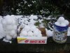 snow 2.jpg