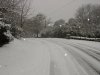 snow 3.jpg