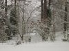snow 4.jpg