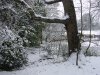 snow 5.jpg