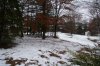 snowyard.jpg