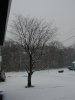 pc050002720.jpg