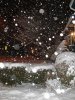 pc050003.jpg