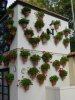 dsc00134.jpg