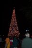 epcot tree.jpg