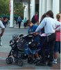 american adventure mullet 1.jpg