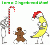 rejectedmas.gif