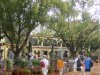 dsc00133.jpg
