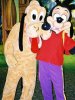 wdw-xmas-pluto-max.jpg