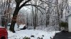 20141127_152536.jpg