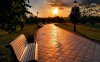 15411-park-sunset-1280x800-world-wallpaper.jpeg