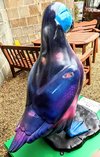 PXL_20230331_130430891~2.jpg