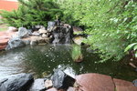 IMG_2167.JPG