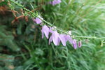 IMG_2176.JPG